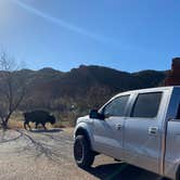 Review photo of South Prong Primitive Camping Area — Caprock Canyons State Park by Julie , November 16, 2020