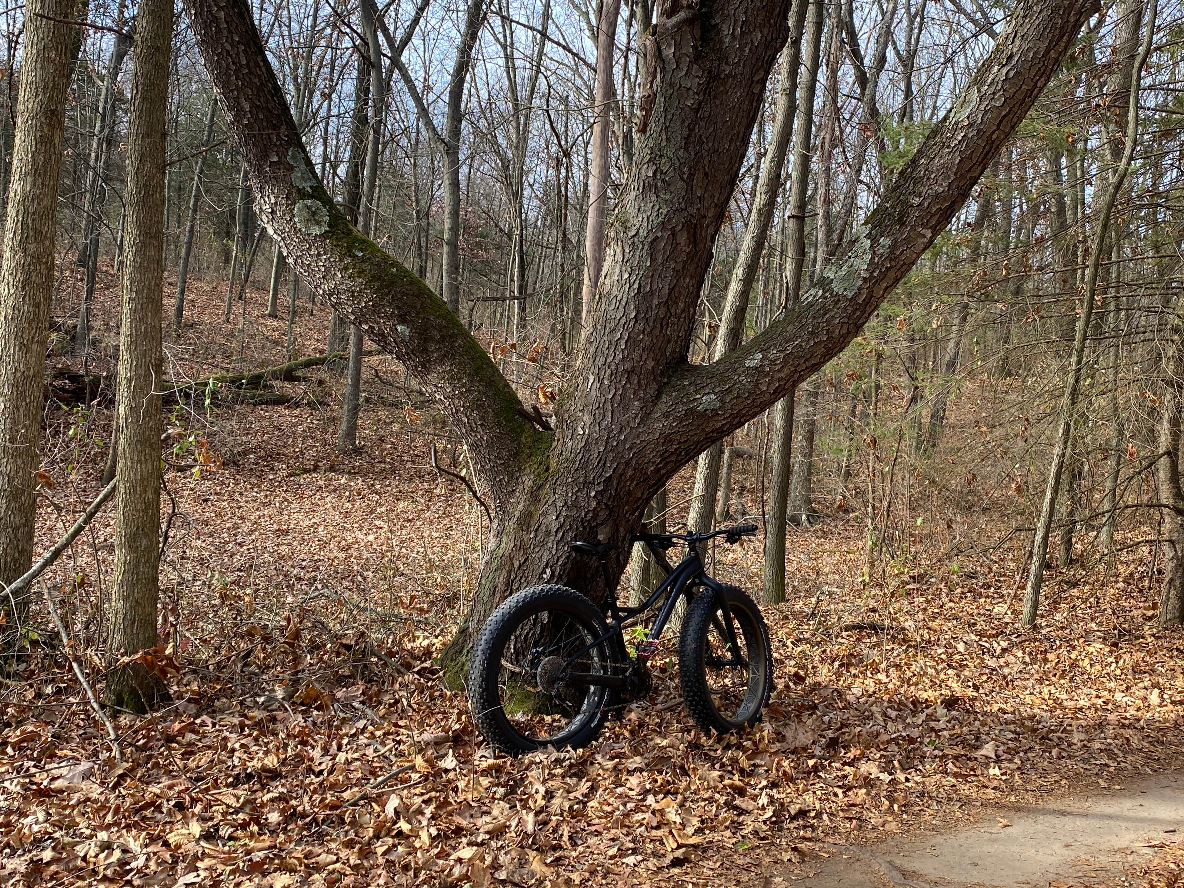 Camper-submitted photo at Bruin Lake Campground — Pinckney Recreation Area near New Hudson, MI