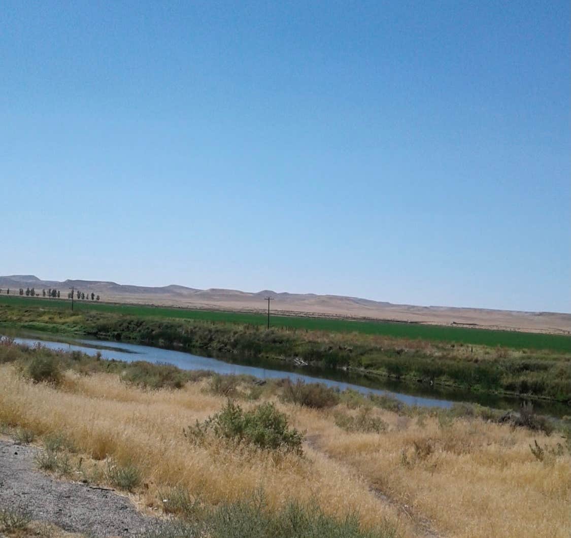 Camper submitted image from Owyhee River Put In - 4