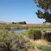 Review photo of Owyhee River Put In by Sam & Amy inc.  L., November 16, 2020