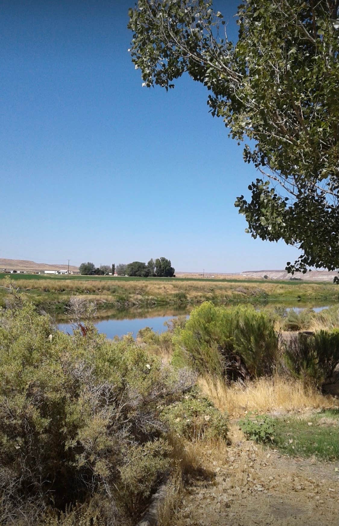 Camper submitted image from Owyhee River Put In - 3