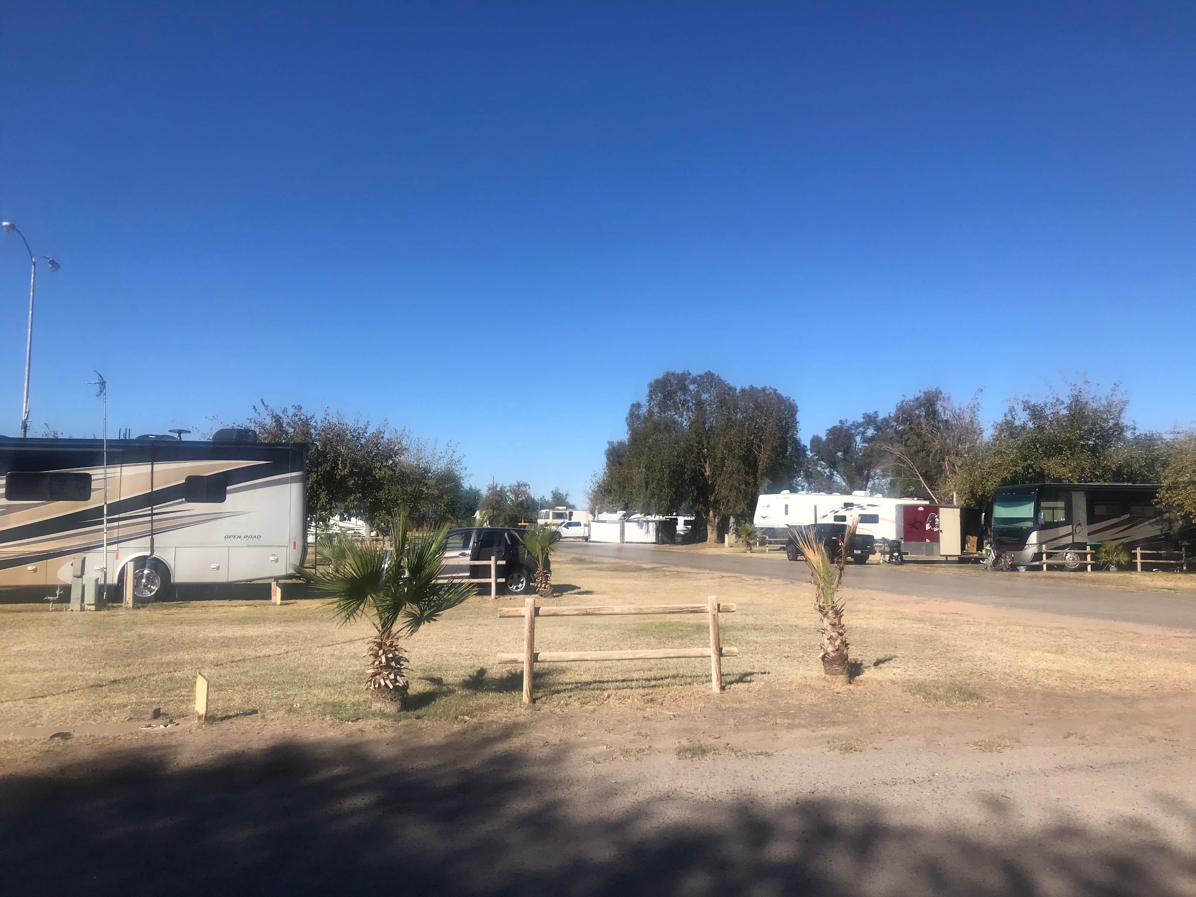 Camper submitted image from The Cove RV Resort - 4