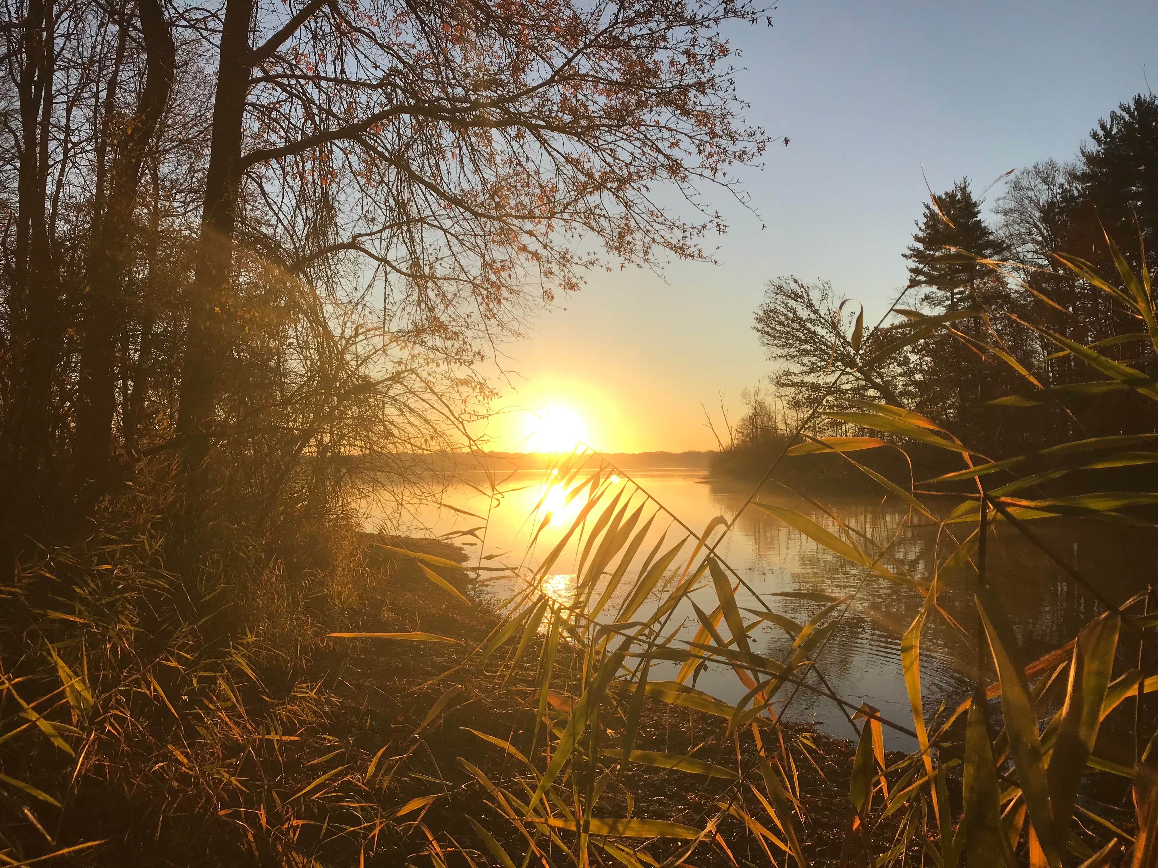 Alum Creek State Park The Dyrt