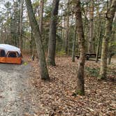 Review photo of Shad Landing Campground by Nick C., November 17, 2020