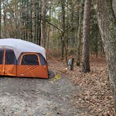 Review photo of Shad Landing Campground by Nick C., November 17, 2020