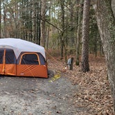 Review photo of Shad  Landing Campground by Nick C., November 17, 2020