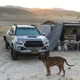 Review photo of Ocotillo Wells State Vehicular Recreation Area by Timothy  A., November 17, 2020