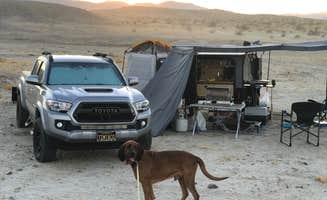 Timothy A.'s photo of camping with pets at Ocotillo Wells State Vehicular Recreation Area near El Centro, CA