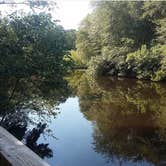 Review photo of Reed Bingham State Park Campground by Kelli J., July 11, 2016