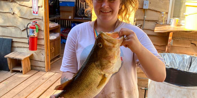 Camper submitted image from Soggy Bottom Trails & Campground