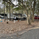 Review photo of Palmetto State Park Campground by Chris K., November 17, 2020