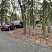 Review photo of Palmetto State Park Campground by Chris K., November 17, 2020