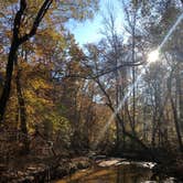 Review photo of Pocahontas State Park Campground by RL , November 17, 2020