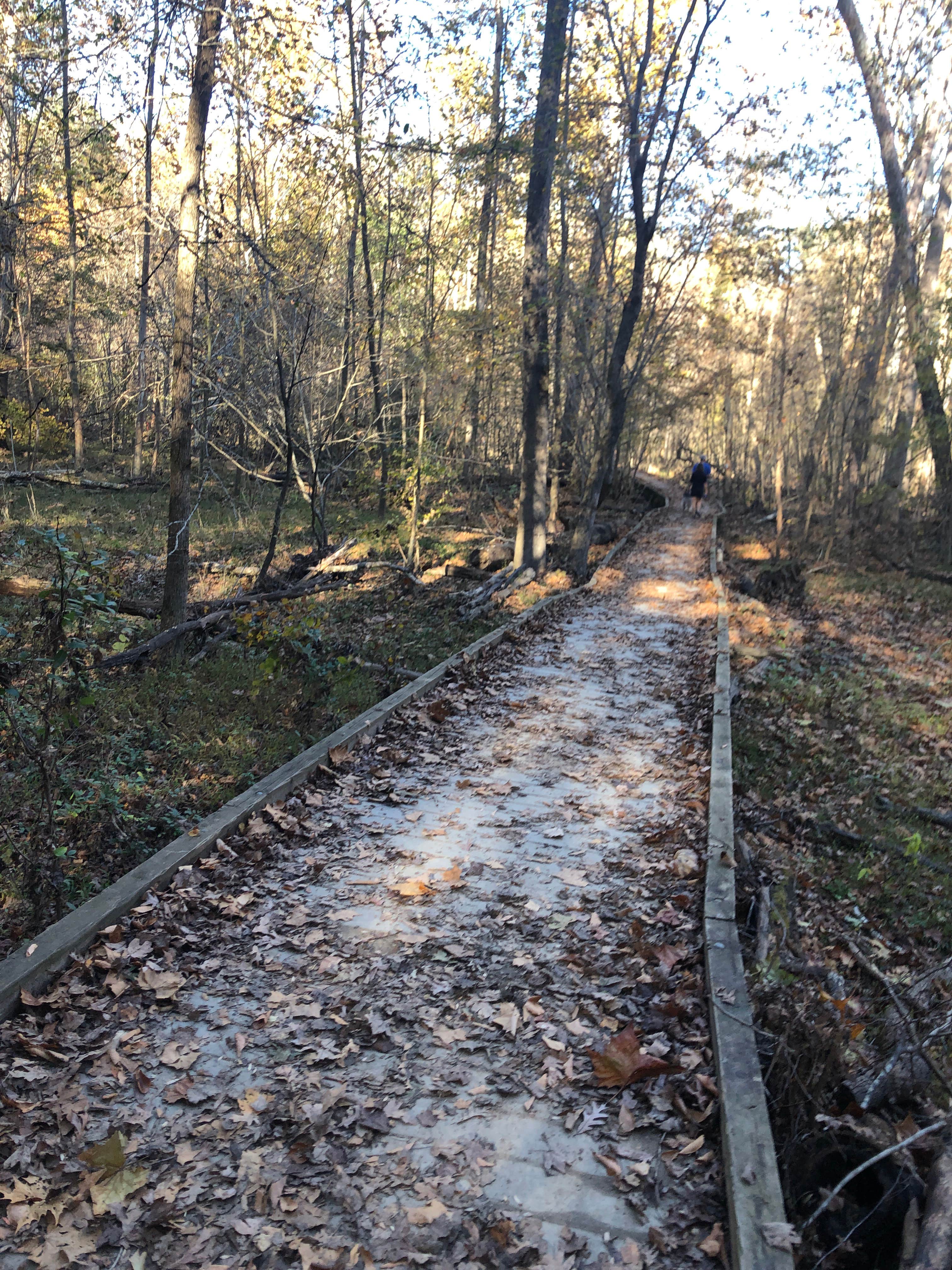 Pocahontas State Park Campground