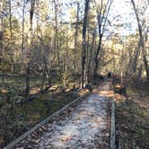 Review photo of Pocahontas State Park Campground by RL , November 17, 2020