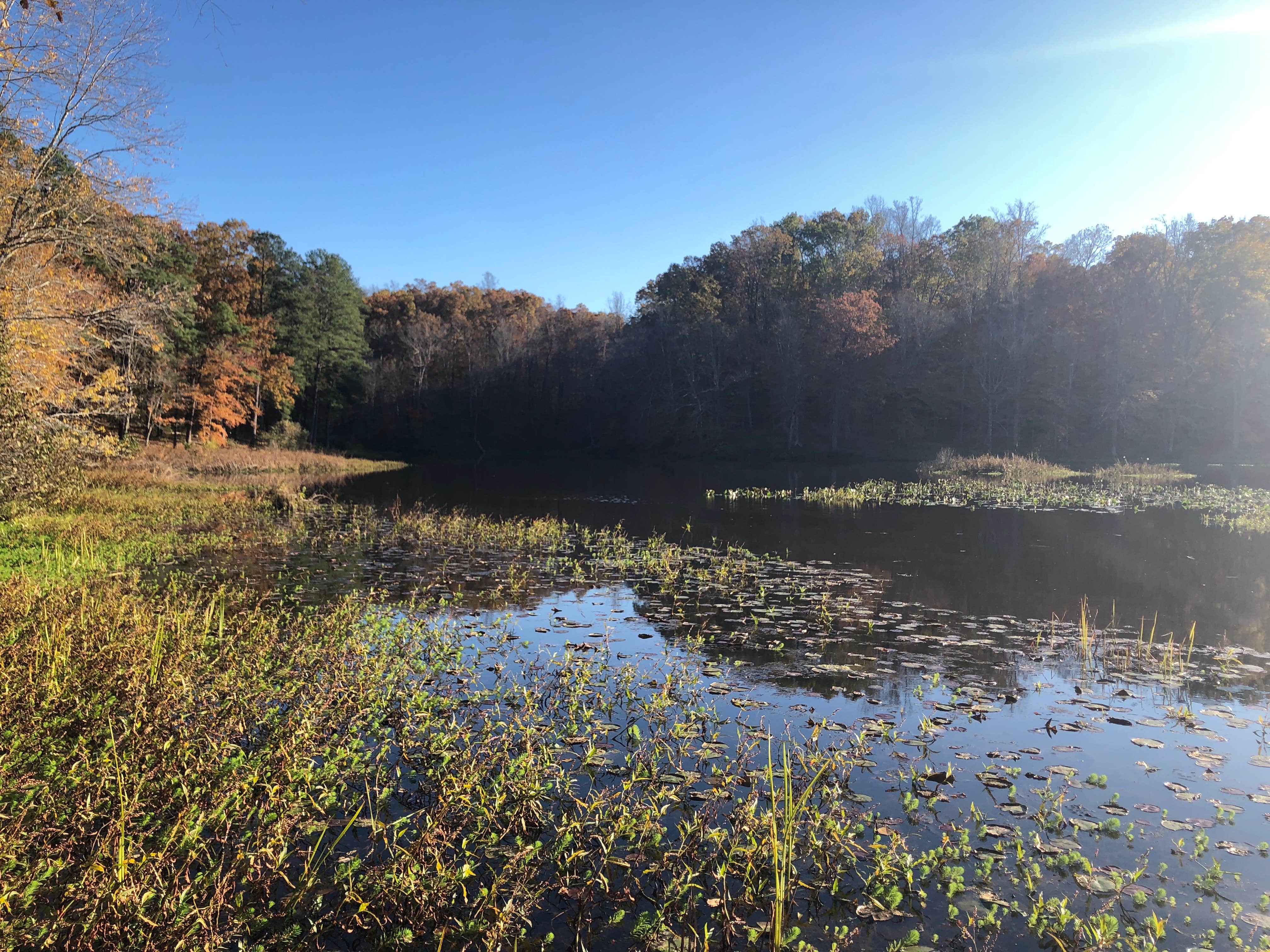Pocahontas State Park Campground