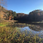 Review photo of Pocahontas State Park Campground by RL , November 17, 2020