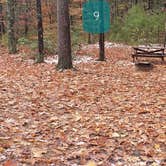 Review photo of Pearl Hill State Park Campground by Jean C., November 17, 2020