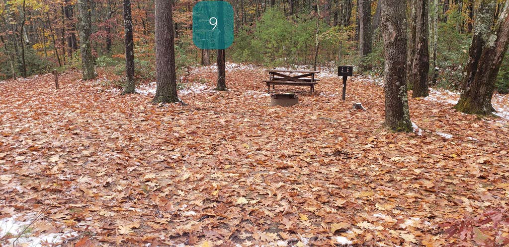 Camper submitted image from Pearl Hill State Park Campground - 2