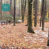 Review photo of Pearl Hill State Park Campground by Jean C., November 17, 2020