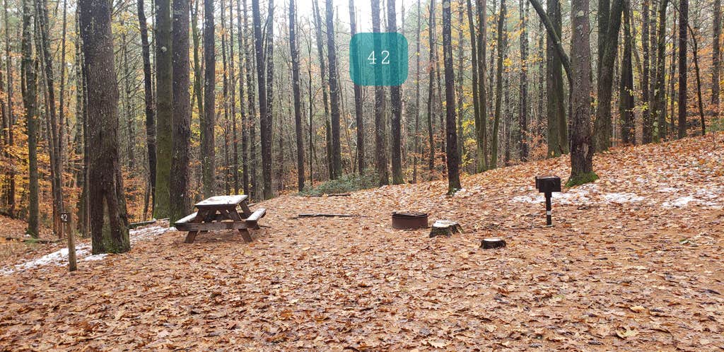 Camper-submitted photo at Pearl Hill State Park Campground near Dunstable, MA