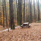 Review photo of Pearl Hill State Park Campground by Jean C., November 17, 2020