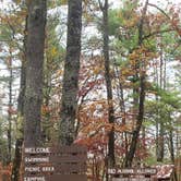 Review photo of Pearl Hill State Park Campground by Jean C., November 17, 2020