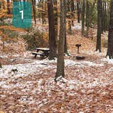 Review photo of Pearl Hill State Park Campground by Jean C., November 17, 2020