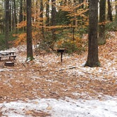 Review photo of Pearl Hill State Park Campground by Jean C., November 17, 2020