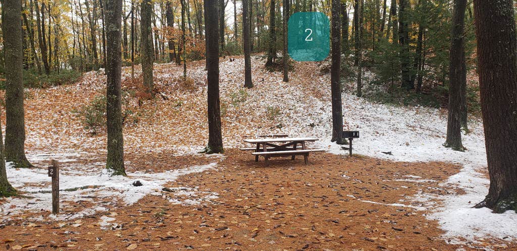 Camper-submitted photo at Pearl Hill State Park Campground near Dunstable, MA