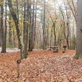 Review photo of Pearl Hill State Park Campground by Jean C., November 17, 2020