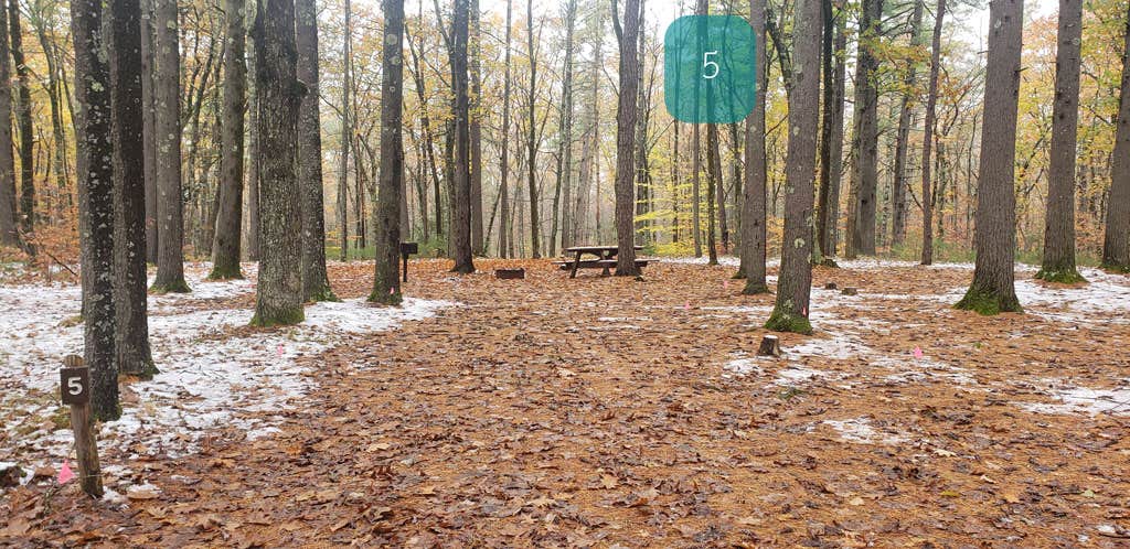 Camper-submitted photo at Pearl Hill State Park Campground near Dunstable, MA