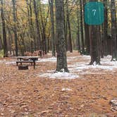 Review photo of Pearl Hill State Park Campground by Jean C., November 17, 2020