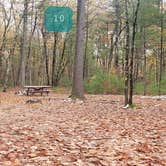 Review photo of Pearl Hill State Park Campground by Jean C., November 17, 2020