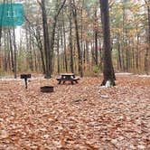 Review photo of Pearl Hill State Park Campground by Jean C., November 17, 2020