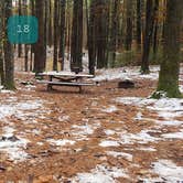 Review photo of Pearl Hill State Park Campground by Jean C., November 17, 2020