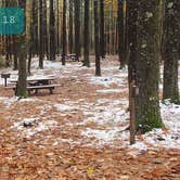 Review photo of Pearl Hill State Park Campground by Jean C., November 17, 2020