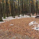 Review photo of Pearl Hill State Park Campground by Jean C., November 17, 2020