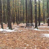 Review photo of Pearl Hill State Park Campground by Jean C., November 17, 2020