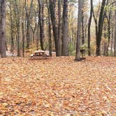 Review photo of Pearl Hill State Park Campground by Jean C., November 17, 2020