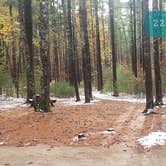 Review photo of Pearl Hill State Park Campground by Jean C., November 17, 2020