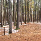 Review photo of Pearl Hill State Park Campground by Jean C., November 17, 2020