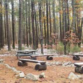 Review photo of Pearl Hill State Park Campground by Jean C., November 17, 2020