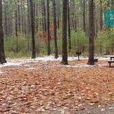 Review photo of Pearl Hill State Park Campground by Jean C., November 17, 2020