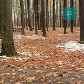 Review photo of Pearl Hill State Park Campground by Jean C., November 17, 2020