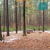 Review photo of Pearl Hill State Park Campground by Jean C., November 17, 2020