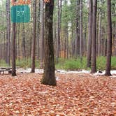 Review photo of Pearl Hill State Park Campground by Jean C., November 17, 2020