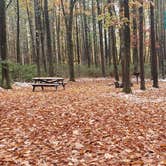 Review photo of Pearl Hill State Park Campground by Jean C., November 17, 2020