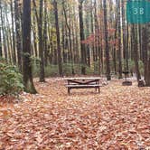 Review photo of Pearl Hill State Park Campground by Jean C., November 17, 2020