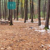 Review photo of Pearl Hill State Park Campground by Jean C., November 17, 2020